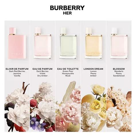 burberry perfume notes|burberry for women perfume notes.